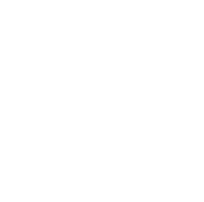 zolizz logo white