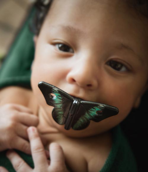 Green Butterfly Pacifier